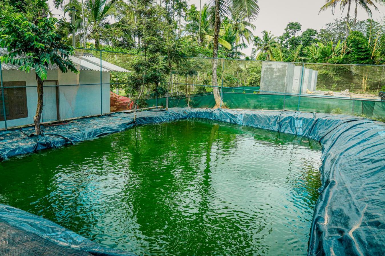 Green Aura Hotel Sultan Bathery Bagian luar foto